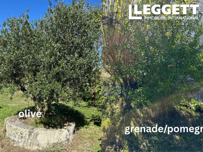 Image No.8-Maison de 5 chambres à vendre à Esclottes