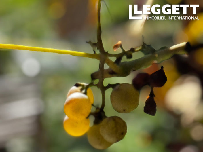 Image No.9-1 Bed House for sale