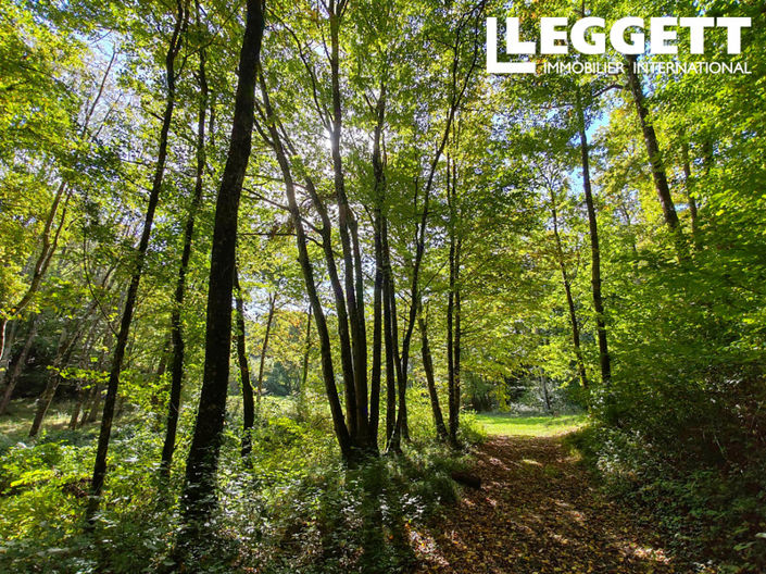 Image No.10-Maison de 3 chambres à vendre à Vienne