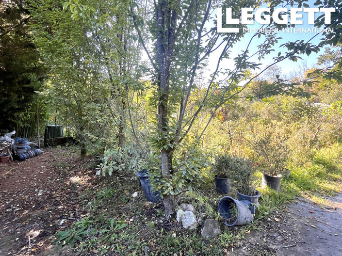 Image No.4-Bar for sale