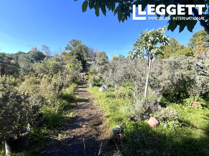 Image No.7-Bar for sale