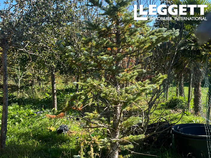 Image No.6-Maison à vendre à Saint-Yrieix-sur-Charente