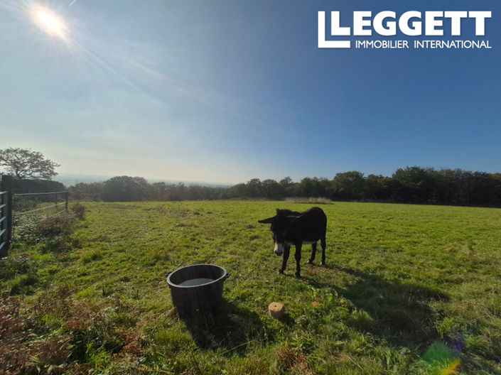 Image No.9-6 Bed House for sale