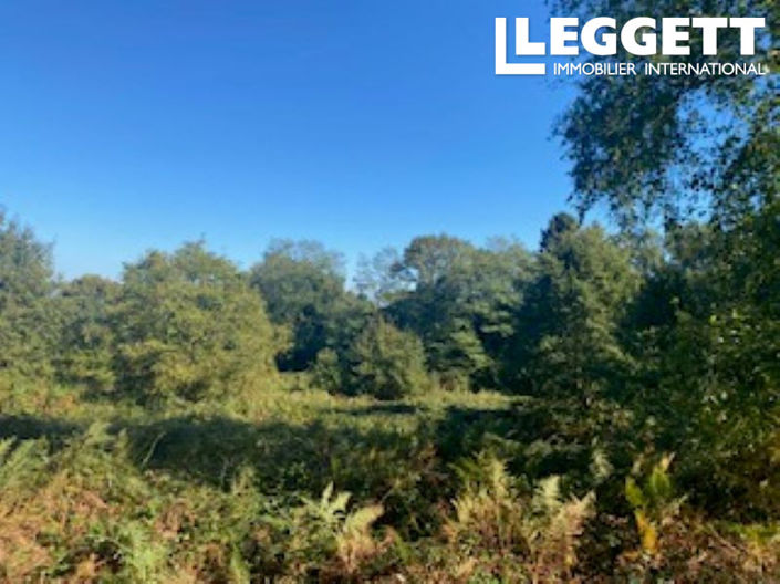 Image No.5-Maison à vendre à La Gacilly