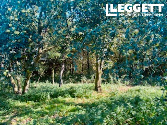 Image No.6-Maison à vendre à La Gacilly