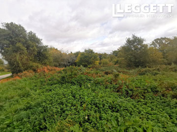 ahr0chm6ly9jzg4uagvzdglhlmltbw8vaw1hz2uvvevom