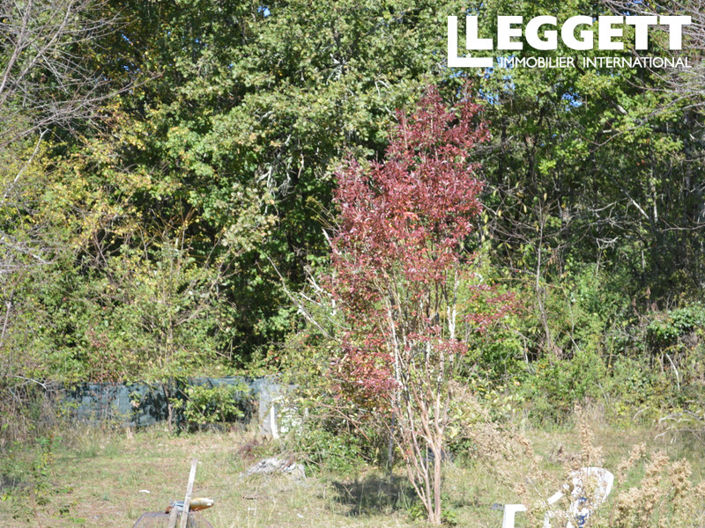 Image No.5-Maison de 1 chambre à vendre à Lot-et-Garonne