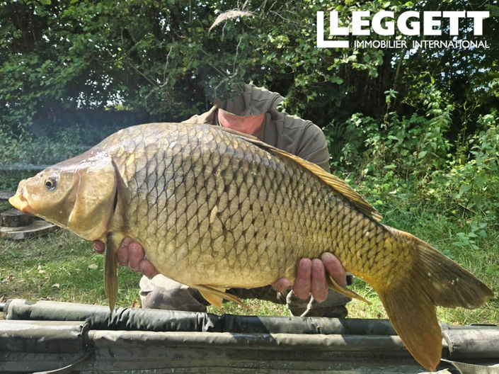 Image No.6-Land for sale