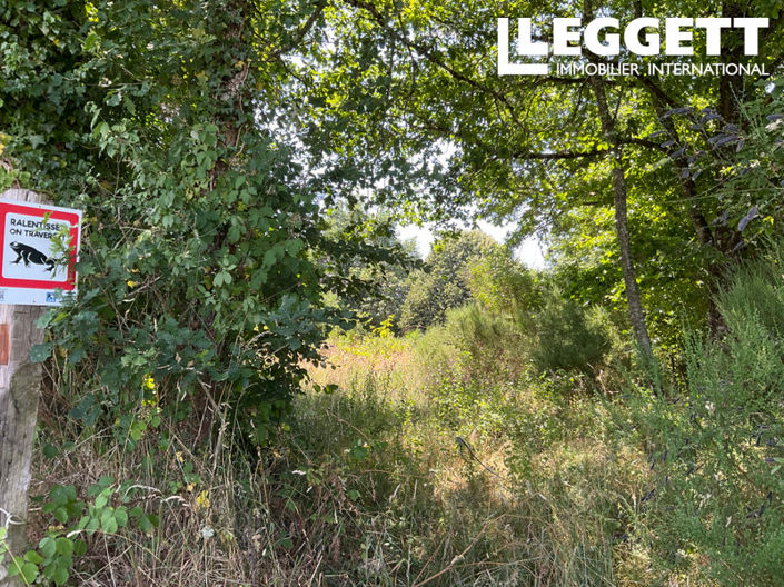 Image No.2-House for sale