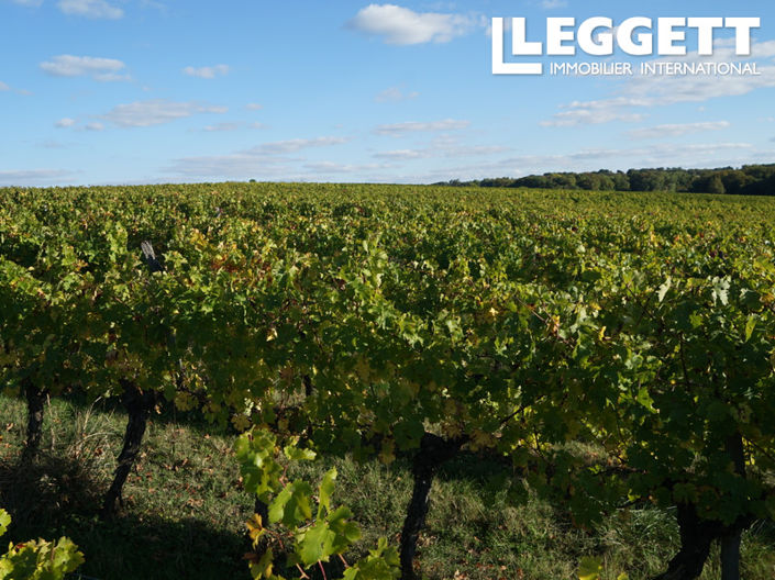 Image No.2-Commercial de 3 chambres à vendre à Sainte-Gemme