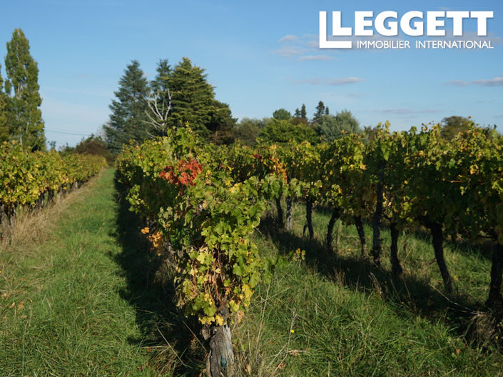 Image No.3-Commercial de 3 chambres à vendre à Sainte-Gemme