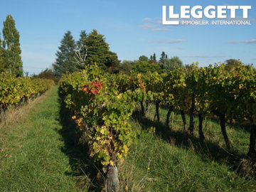 ahr0chm6ly9jzg4uagvzdglhlmltbw8vaw1hz2uvvevom