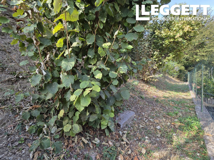 Image No.9-3 Bed House for sale