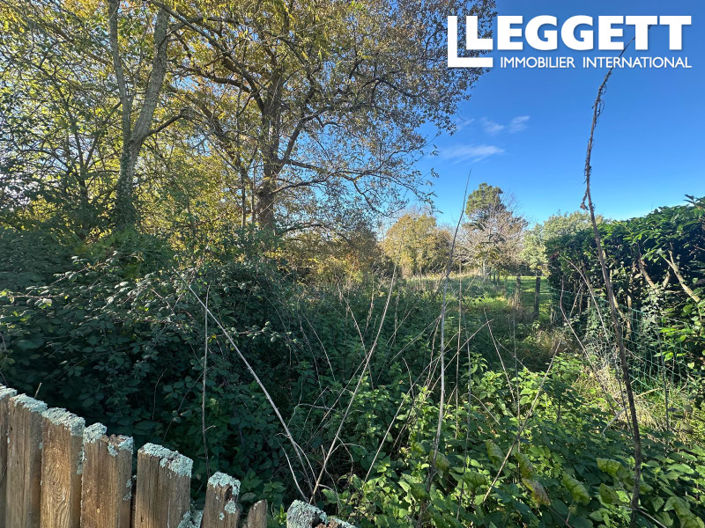 Image No.8-Terre à vendre à Panjas