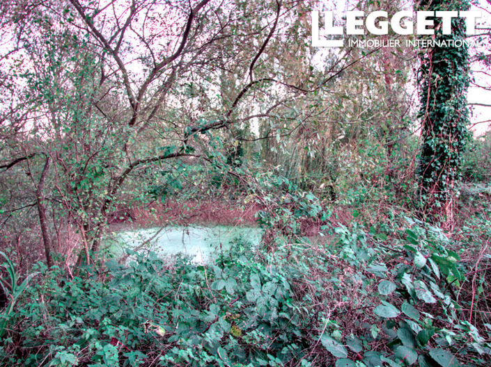 Image No.9-Terre à vendre à Quettreville-sur-Sienne