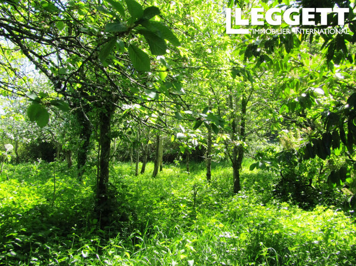 Image No.10-3 Bed House for sale