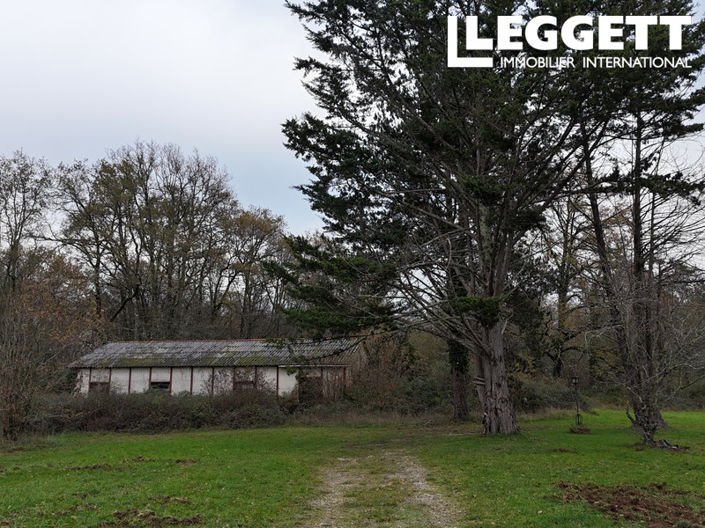 Image No.3-Maison de 4 chambres à vendre à Pressignac-Vicq