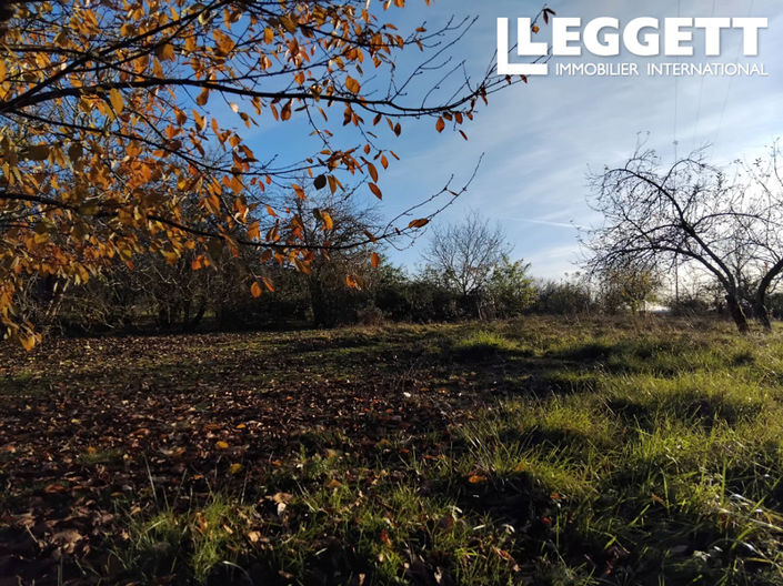Image No.2-Terre à vendre à Lot