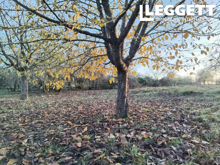 Image No.6-Terre à vendre à Lot