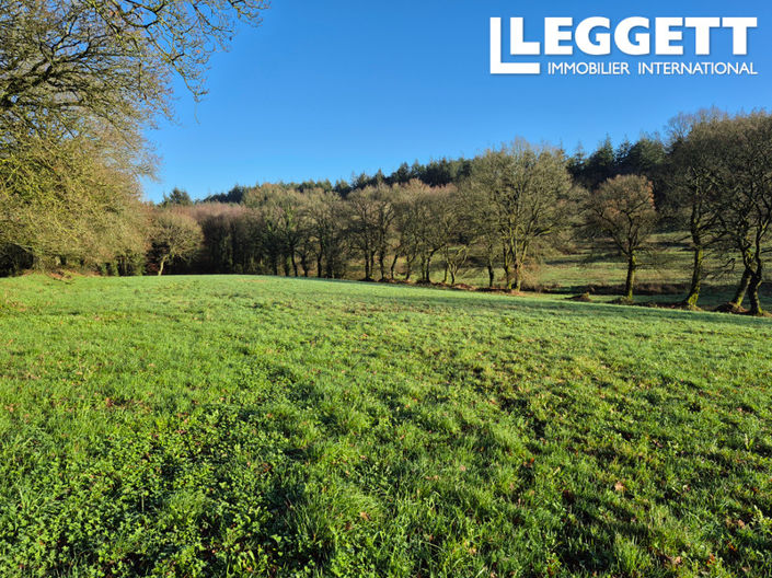 Image No.8-3 Bed House for sale