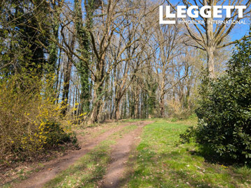 ahr0chm6ly9jzg4uagvzdglhlmltbw8vaw1hz2uvvevom