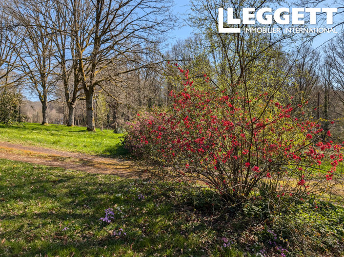 Image No.9-3 Bed House for sale