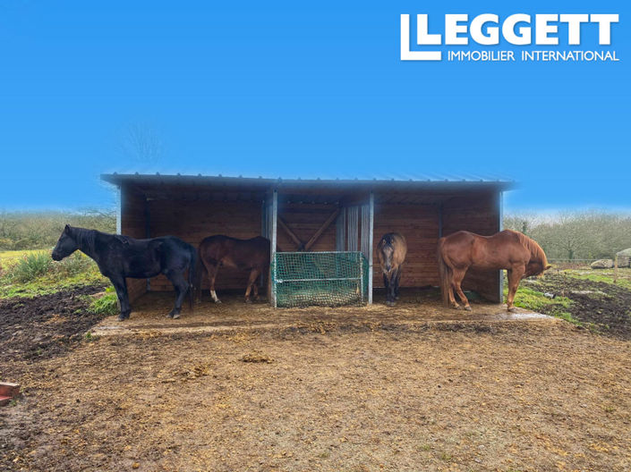 Image No.2-6 Bed House for sale