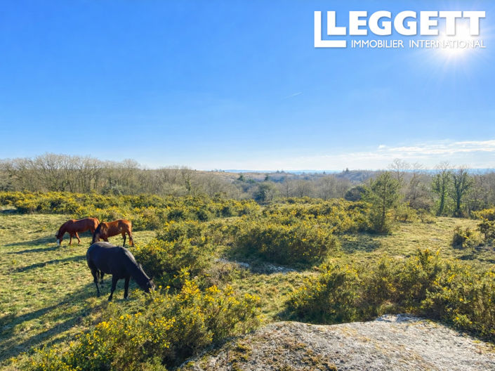 Image No.3-6 Bed House for sale