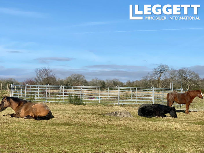 Image No.5-6 Bed House for sale