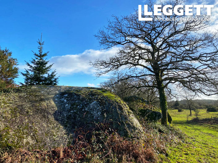 Image No.6-6 Bed House for sale