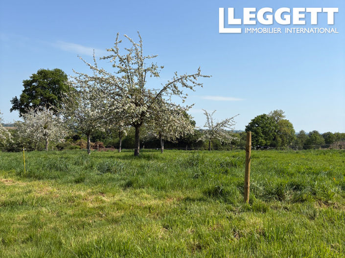 Image No.3-Maison à vendre à Orne