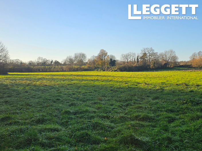 Image No.10-Maison de 3 chambres à vendre à Pamplie