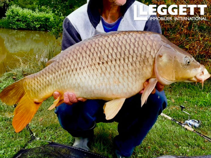 Image No.10-5 Bed Land for sale