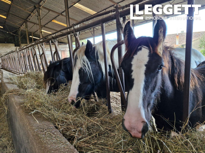 Image No.10-5 Bed House for sale