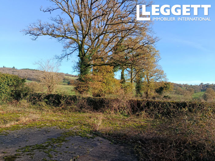 Image No.6-Bar for sale