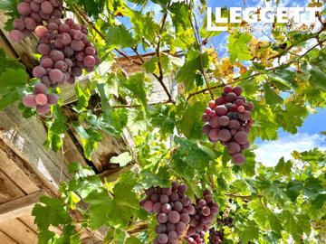 ahr0chm6ly9jzg4uagvzdglhlmltbw8vaw1hz2uvvevom