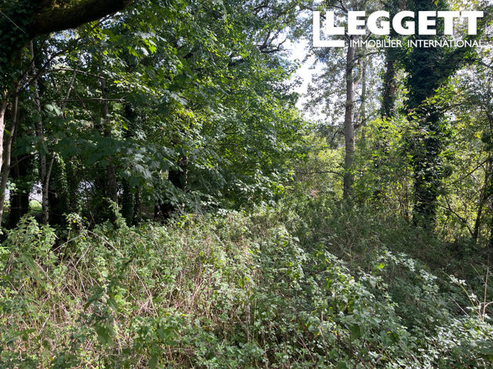 Image No.2-House for sale