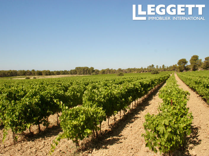 Image No.8-8 Bed House for sale