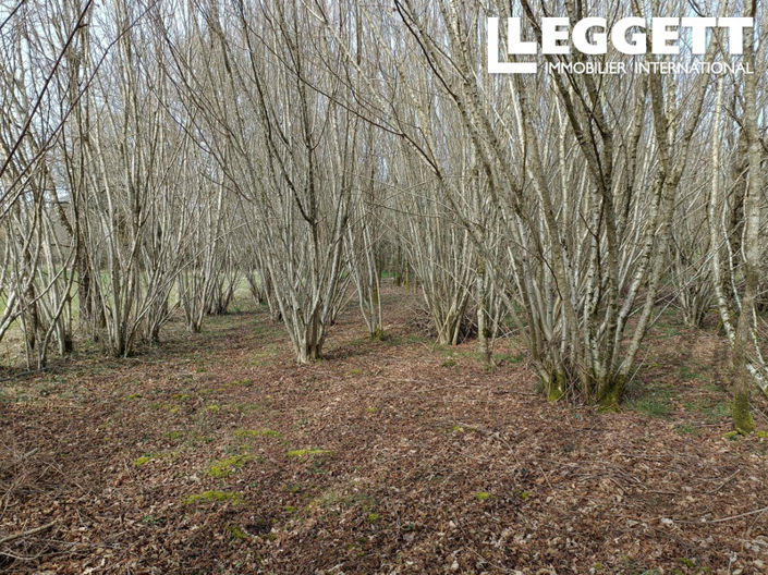 Image No.4-Land for sale