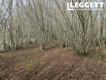 ahr0chm6ly9jzg4uagvzdglhlmltbw8vaw1hz2uvvevom