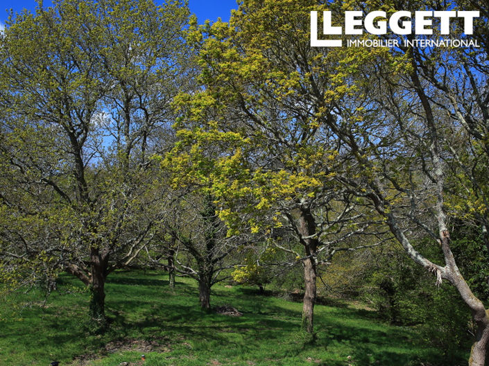 Image No.5-6 Bed House for sale