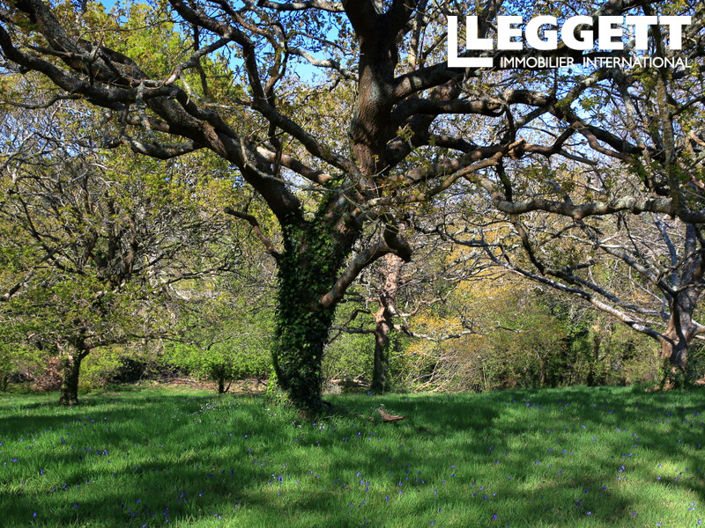 Image No.6-6 Bed House for sale