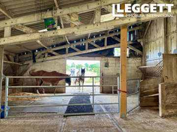 ahr0chm6ly9jzg4uagvzdglhlmltbw8vaw1hz2uvvevom