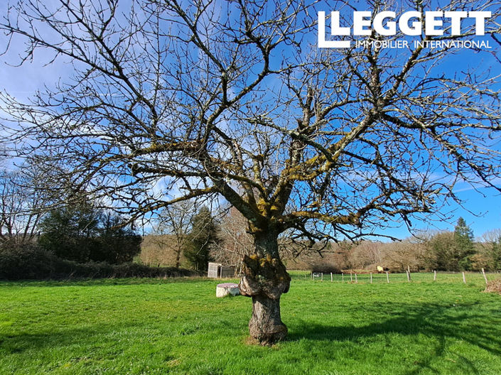 Image No.7-Maison de 3 chambres à vendre à Maisonnais-sur-Tardoire