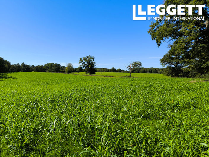 Image No.8-Maison à vendre à Val-d'Oire-et-Gartempe