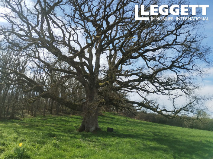 Image No.9-5 Bed House for sale