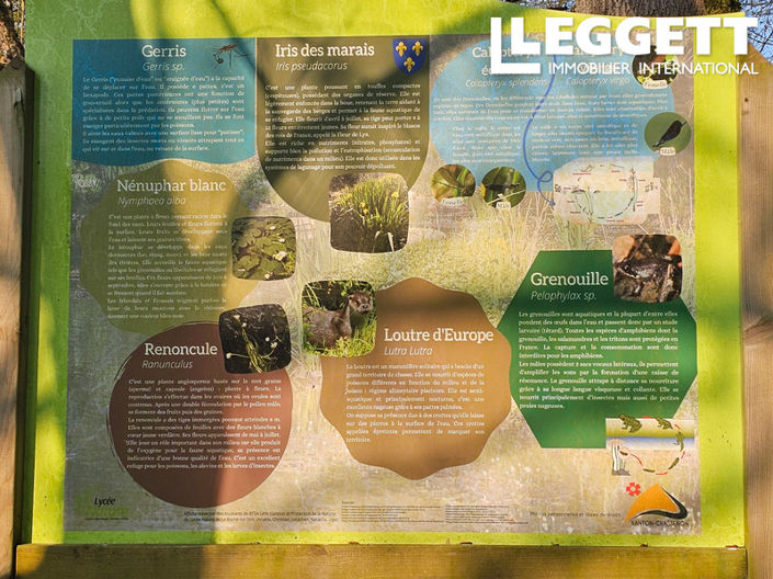 Image No.10-Maison à vendre à Xanton-Chassenon