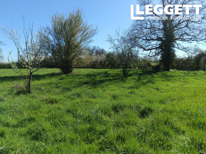 Image No.8-Maison à vendre à Availles-Limouzine