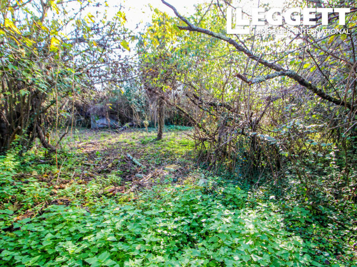 Image No.7-House for sale