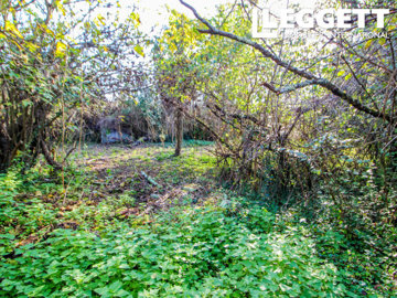 ahr0chm6ly9jzg4uagvzdglhlmltbw8vaw1hz2uvvevom